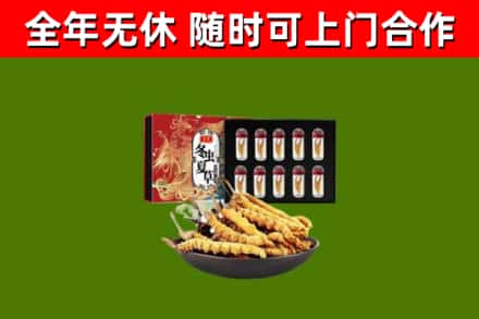永善县烟酒回收冬虫夏草礼盒.jpg